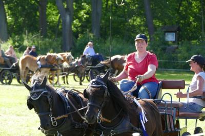 Foto des Albums: Fahrturnier Hilders 2017