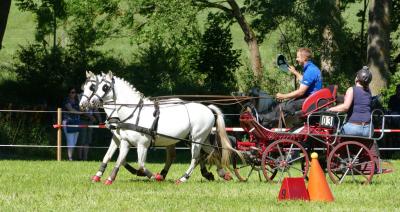 Foto des Albums: Fahrturnier Hilders 2017