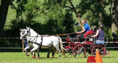 Foto des Albums: Fahrturnier Hilders 2017