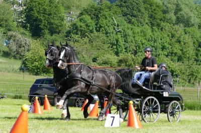 Foto des Albums: Fahrturnier Hilders 2017