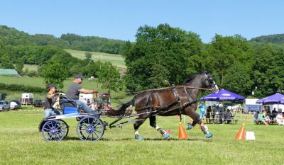 Foto des Albums: Fahrturnier Hilders 2017