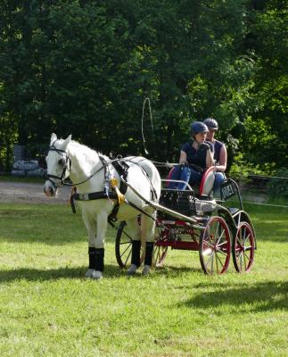 Foto des Albums: Fahrturnier Hilders 2017