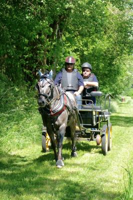 Foto des Albums: Fahrturnier Hilders 2017