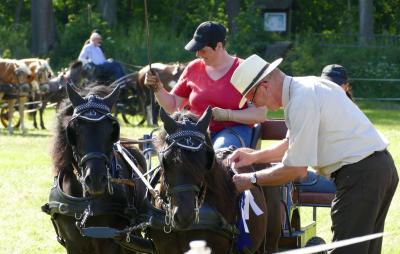 Foto des Albums: Fahrturnier Hilders 2017