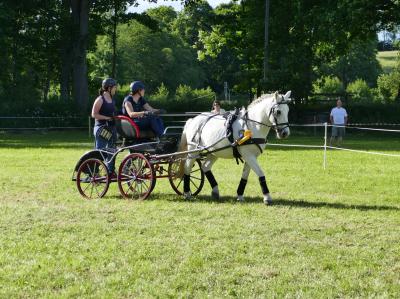 Foto des Albums: Fahrturnier Hilders 2017