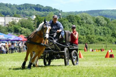 Foto des Albums: Fahrturnier Hilders 2017