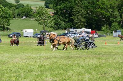 Foto des Albums: Fahrturnier Hilders 2017