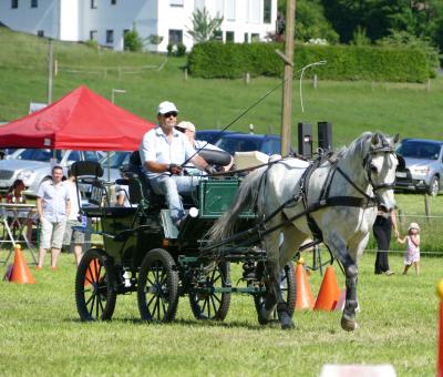 Foto des Albums: Fahrturnier Hilders 2017