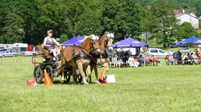 Foto des Albums: Fahrturnier Hilders 2017