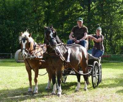 Foto des Albums: Fahrturnier Hilders 2017