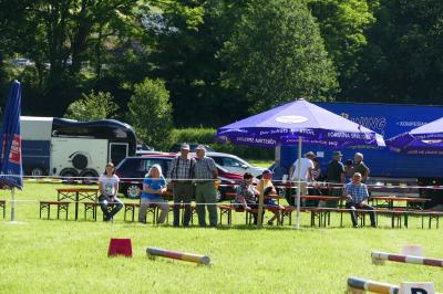 Foto des Albums: Fahrturnier Hilders 2017