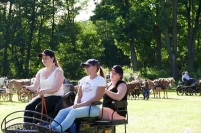 Foto des Albums: Fahrturnier Hilders 2017