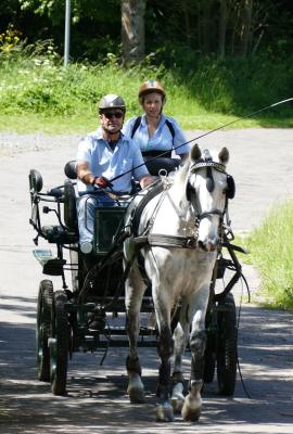 Foto des Albums: Fahrturnier Hilders 2017