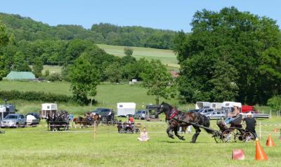 Foto des Albums: Fahrturnier Hilders 2017