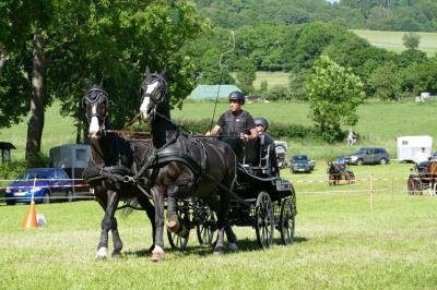 Foto des Albums: Fahrturnier Hilders 2017