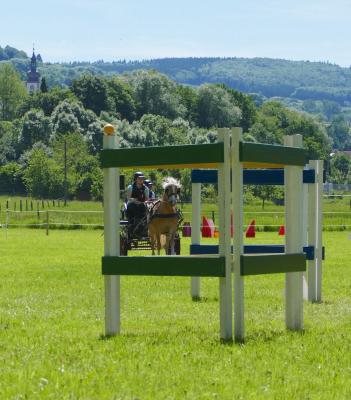 Foto des Albums: Fahrturnier Hilders 2017