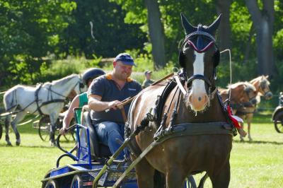 Foto des Albums: Fahrturnier Hilders 2017