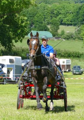 Foto des Albums: Fahrturnier Hilders 2017