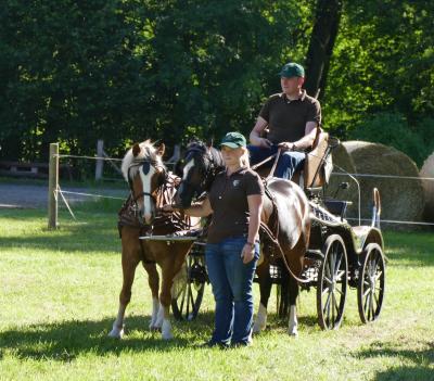 Foto des Albums: Fahrturnier Hilders 2017