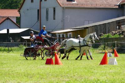 Foto des Albums: Fahrturnier Hilders 2017
