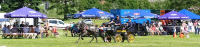 Foto des Albums: Fahrturnier Hilders 2017
