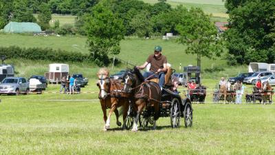 Foto des Albums: Fahrturnier Hilders 2017