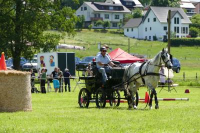 Foto des Albums: Fahrturnier Hilders 2017
