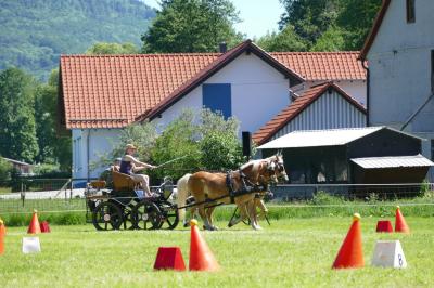 Foto des Albums: Fahrturnier Hilders 2017