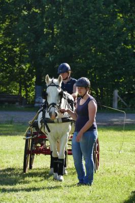 Foto des Albums: Fahrturnier Hilders 2017