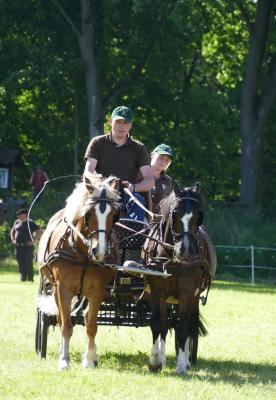 Foto des Albums: Fahrturnier Hilders 2017