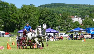 Foto des Albums: Fahrturnier Hilders 2017