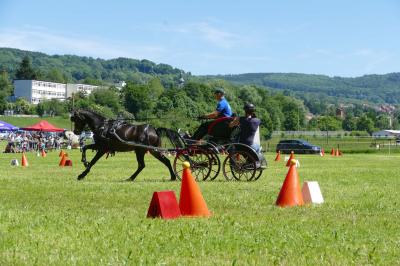 Foto des Albums: Fahrturnier Hilders 2017