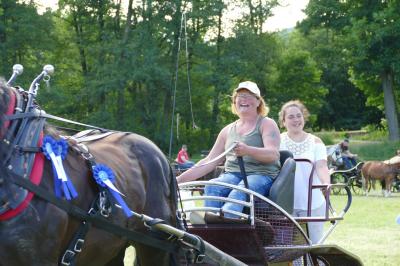Foto des Albums: Fahrturnier Hilders 2017