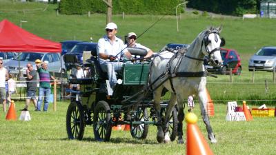 Foto des Albums: Fahrturnier Hilders 2017