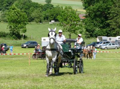 Foto des Albums: Fahrturnier Hilders 2017