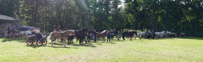 Foto des Albums: Fahrturnier Hilders 2017