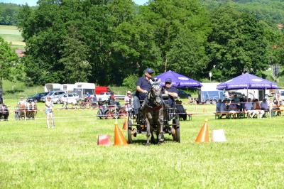 Foto des Albums: Fahrturnier Hilders 2017