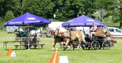Foto des Albums: Fahrturnier Hilders 2017