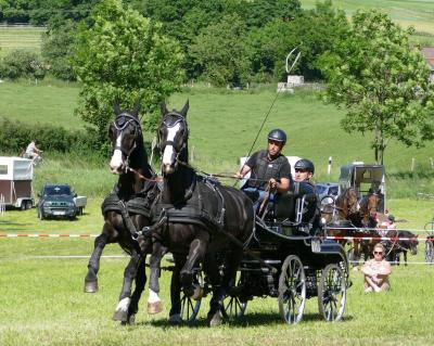 Foto des Albums: Fahrturnier Hilders 2017