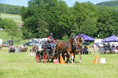 Foto des Albums: Fahrturnier Hilders 2017