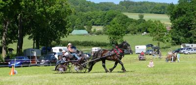 Foto des Albums: Fahrturnier Hilders 2017