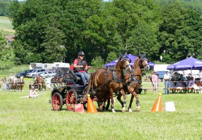Foto des Albums: Fahrturnier Hilders 2017