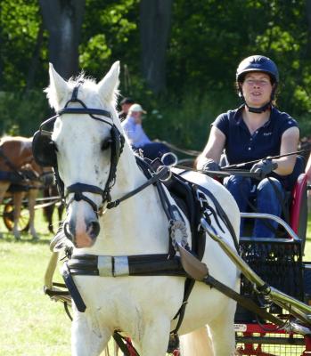 Foto des Albums: Fahrturnier Hilders 2017