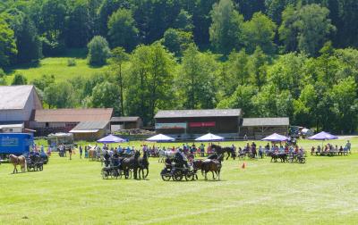 Foto des Albums: Fahrturnier Hilders 2017