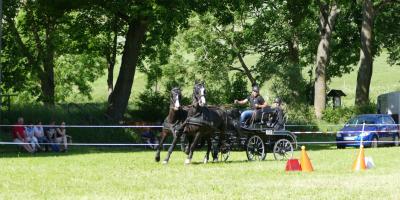 Foto des Albums: Fahrturnier Hilders 2017