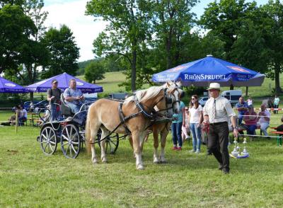 Foto des Albums: Fahrturnier Hilders 2017