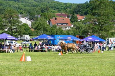 Foto des Albums: Fahrturnier Hilders 2017