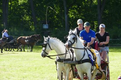 Foto des Albums: Fahrturnier Hilders 2017