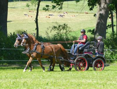 Foto des Albums: Fahrturnier Hilders 2017