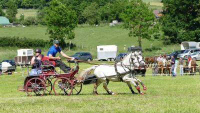 Foto des Albums: Fahrturnier Hilders 2017